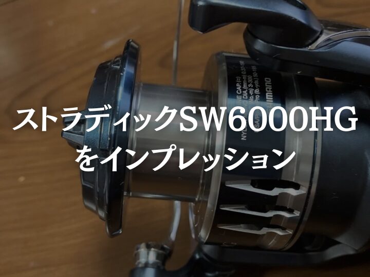 20ストラディックSW6000HG【インプレ】コスパ最強のジギングリールを 